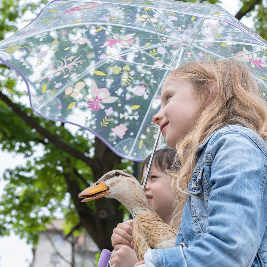 Product Videos for Kids eCom Brand Pavo Bella