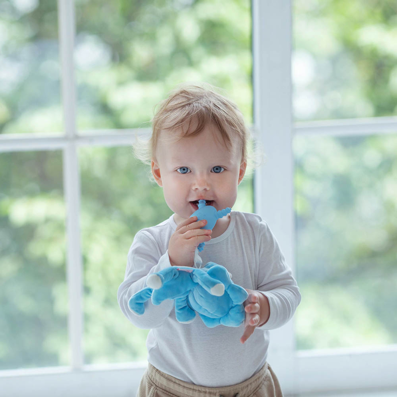 Instagram product videos for The Teething Egg / USA